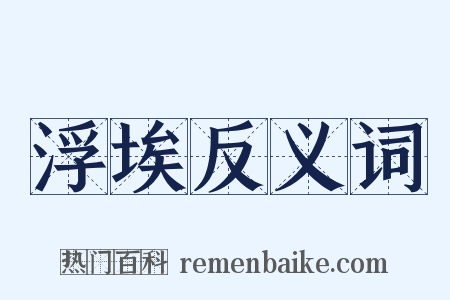 浮埃反义词是什么意思的图片